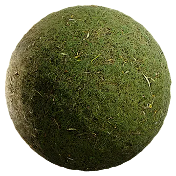 grass and leaves 014 — Descargar