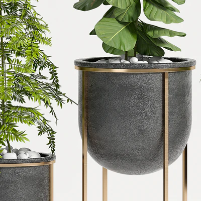 PLANT SET -80 — Ver 3