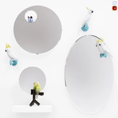 A set of mirrors "The Parrot Party" — Ver 1