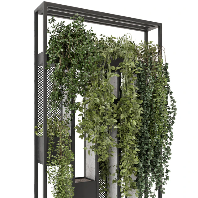 Indoor Hanging Plants in Metal Stand - Set 1698 — Descargar