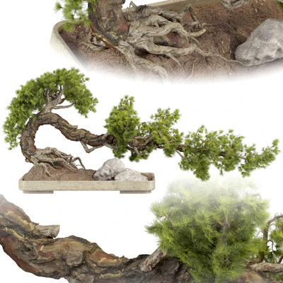 Bonsai Tree 229 — Ver 4