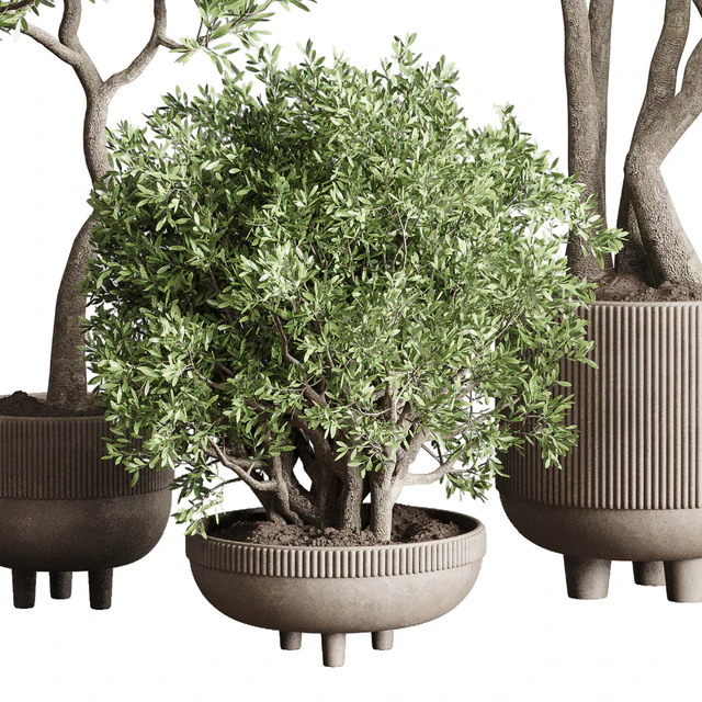 Collection Indoor Outdoor plant 118 vase concrete pot tree corona — Скачать