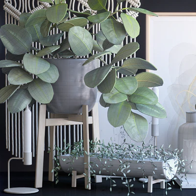 Decorative set 16 — Ver 5