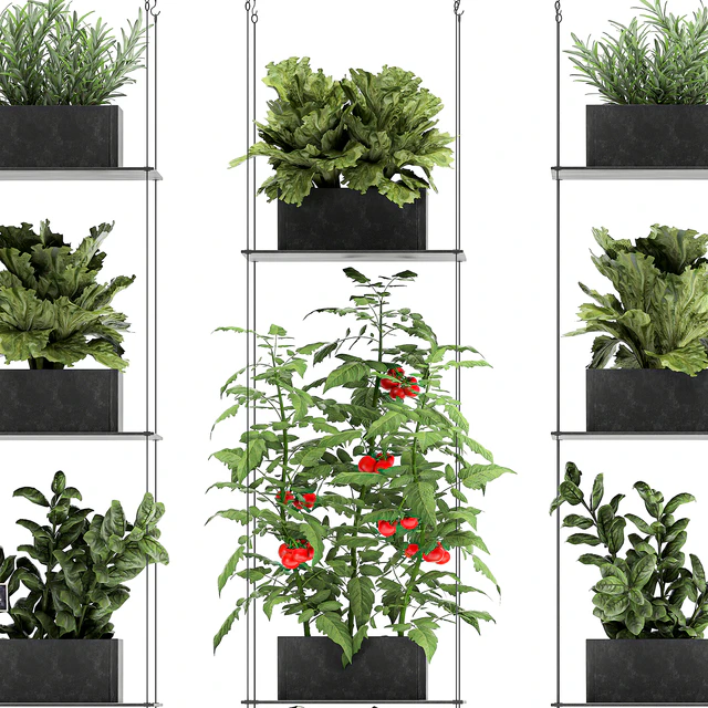 Vertical gardening kitchen garden garden with vegetables, tomatoes, peppers, herbs, lettuce, rosemary. Set 69. — Descargar