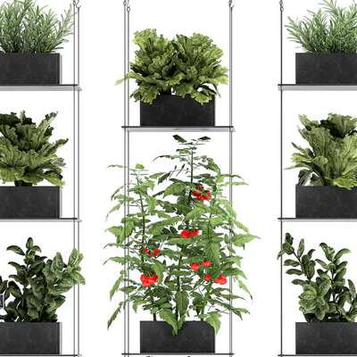 Vertical gardening kitchen garden garden with vegetables, tomatoes, peppers, herbs, lettuce, rosemary. Set 69. — Ver 5