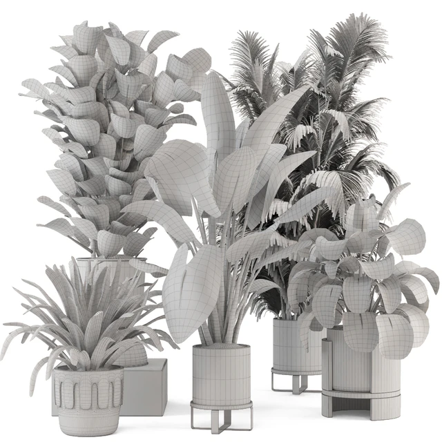 Indoor Plants in Ferm Living Bau Pot Large - Set 1188 — Descargar