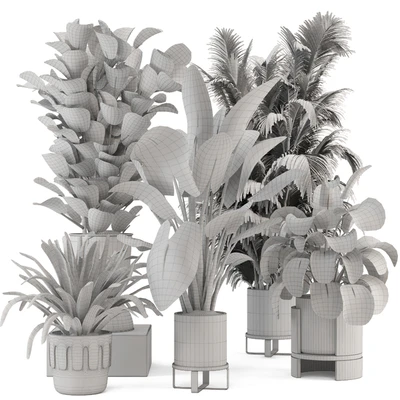 Indoor Plants in Ferm Living Bau Pot Large - Set 1188 — Ver 5
