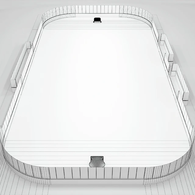 Hockey box 30x60 m. with KHL markings — Descargar