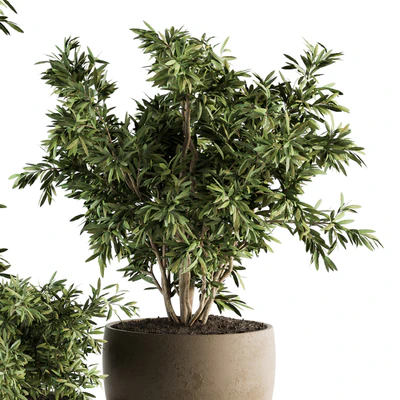 Outdoor Plant Set 203 - Plant and Tree in Pot — Ver 4