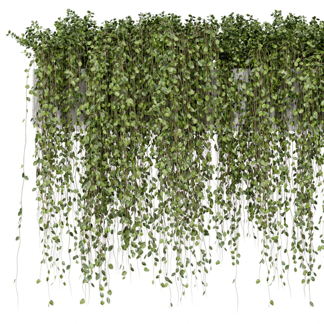 Hanging Plants in rusty Concrete Pot - Set 509 — Descargar