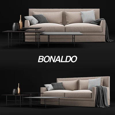 Bonaldo Paraiso and Bonaldo Fard — Ver 1