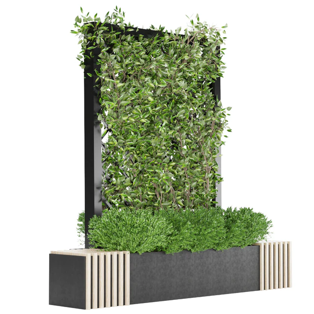 Collection plant vol 16 — Descargar