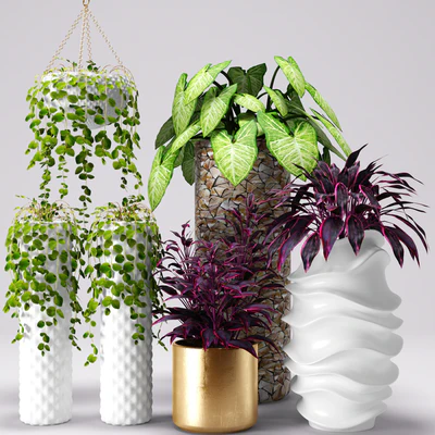 Plants in pots, white pot, flowerpot, flower — Ver 1