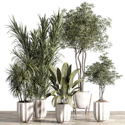 indoor plant - set 60 — Вид 3