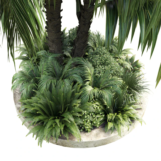 Collection Outdoor plant 39 in garden pot tree palm bush fern concrete dirt old vase — Descargar