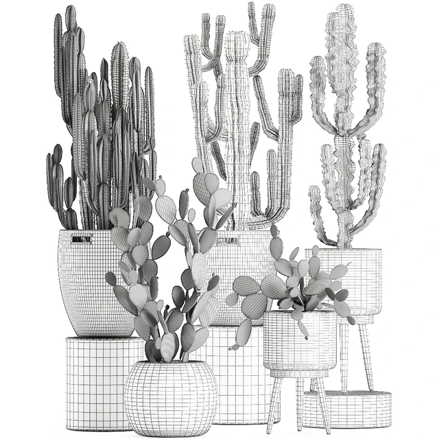 A collection of small cacti in beautiful woven rattan baskets with Prickly pear, Carnegie, Cereus, desert plants. Set 617. — Descargar