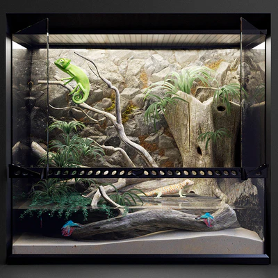 Terrarium — Ver 1