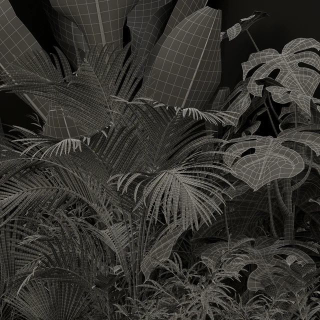 Plants collection 196 — Descargar