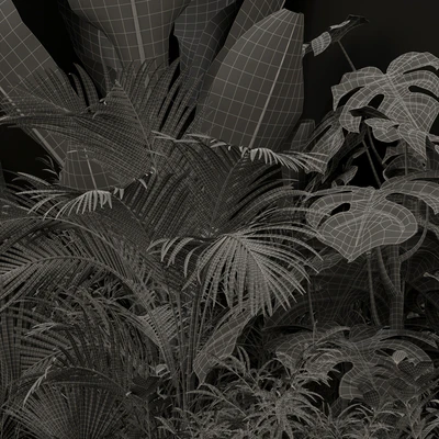 Plants collection 196 — Ver 2