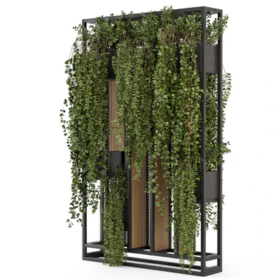 Indoor Hanging Plants in Metal Stand - Set 1005 — Ver 5