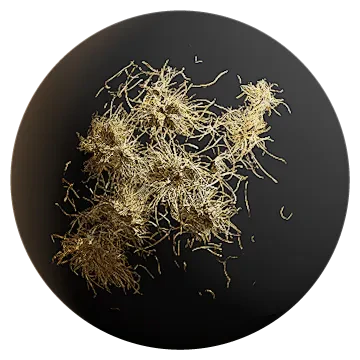 dry grass patch 003 — Скачать