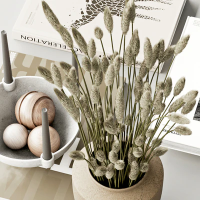 decorative set60 — Ver 2