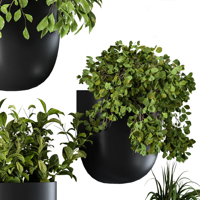 Plant Box on Wall 01 — Descargar