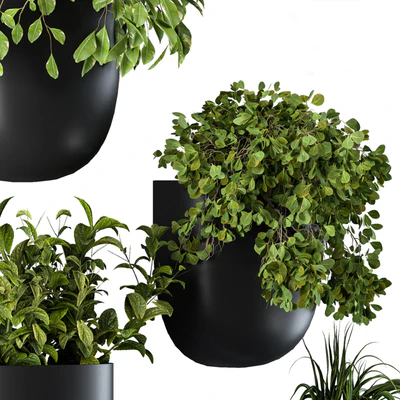 Plant Box on Wall 01 — Ver 3