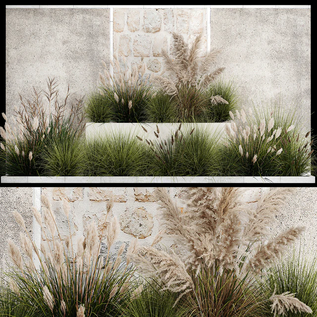 Collection of flowerbed plants and bushes with grass for landscaping, pampas grass, cortaderia and white reeds. 1126. — Descargar
