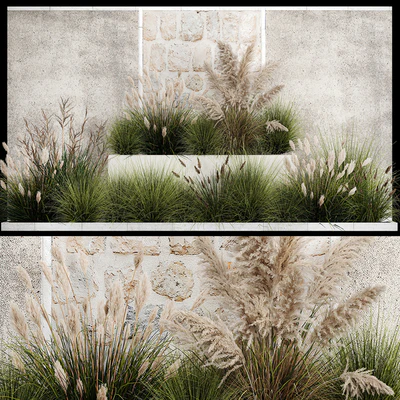 Collection of flowerbed plants and bushes with grass for landscaping, pampas grass, cortaderia and white reeds. 1126. — Ver 1