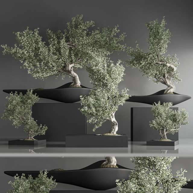indoor plant bonsai set 29 — Скачать