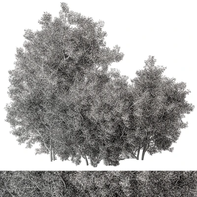 Mixed Plant Bush Set 105 — Вид 3
