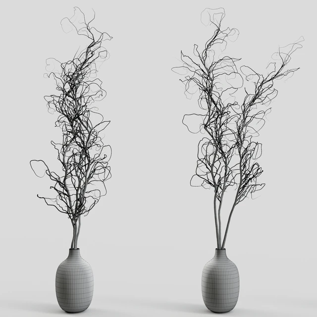 Branches in vases 30 — Descargar