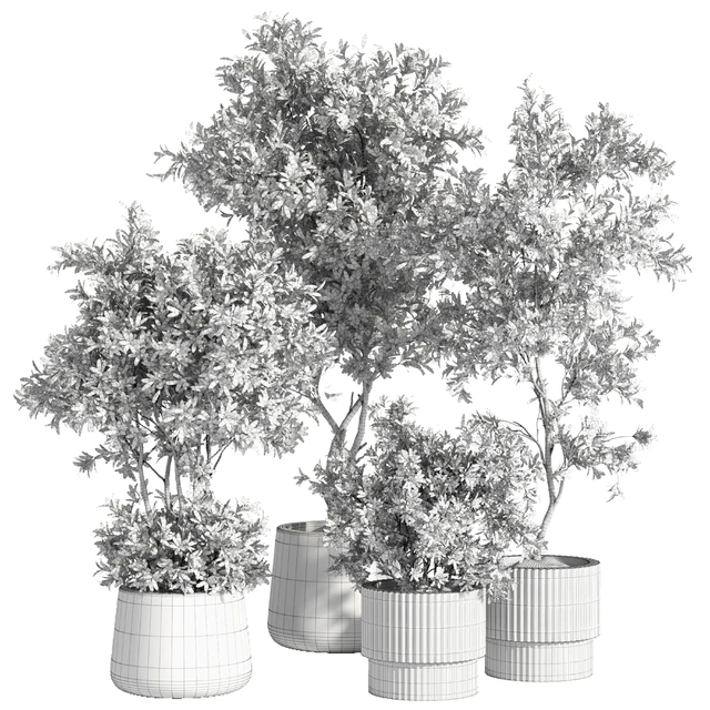 indoor plant set 74 — Descargar
