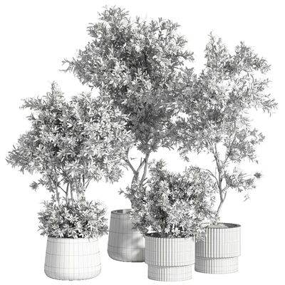 indoor plant set 74 — Ver 3