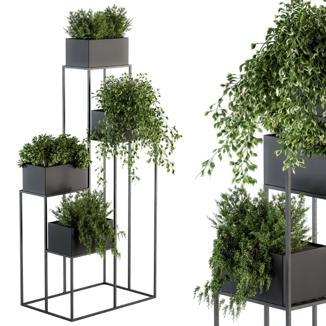 indoor Plant Set 100 - Black stand — Descargar