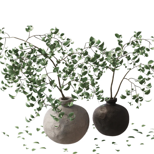 branches in a vase — Descargar
