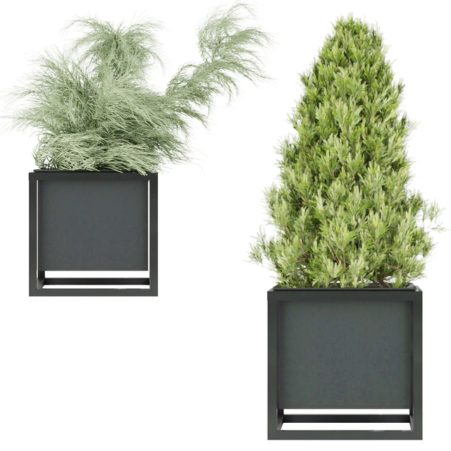 Collection plant vol 14 — Descargar