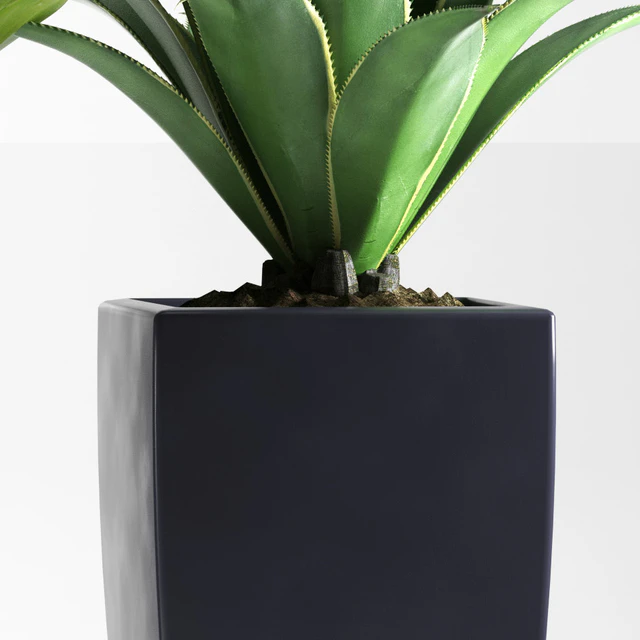 PLANTS 77 — Скачать