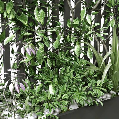 vertical plant in box set 124 — Ver 5