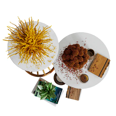Aloysia Rattan decorative set — View 4