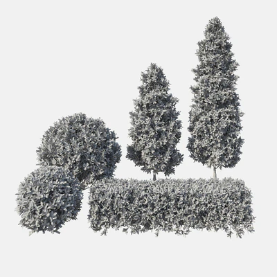 Garden Plant Set 02 Ficus annulata. — Вид 4