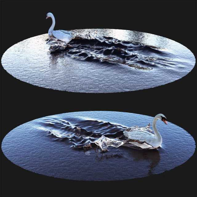 Goose on water — Descargar