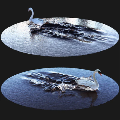 Goose on water — Ver 1