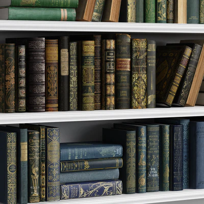 Classic Books 06 — Вид 5
