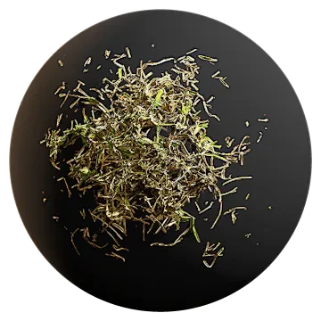 buffalo grass 005 — Descargar