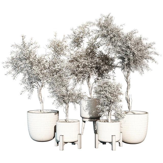 indoor Plant 520 — Скачать