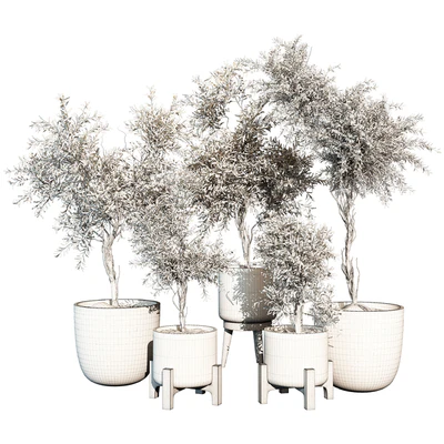 indoor Plant 520 — Вид 2