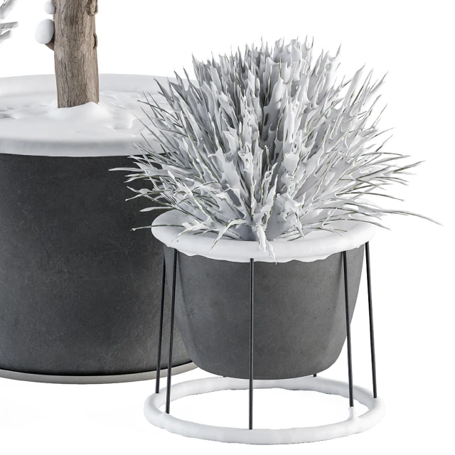 Outdoor Plants in Pot Snowy - Set 346 — Скачать