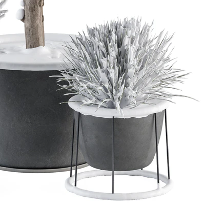 Outdoor Plants in Pot Snowy - Set 346 — Вид 4